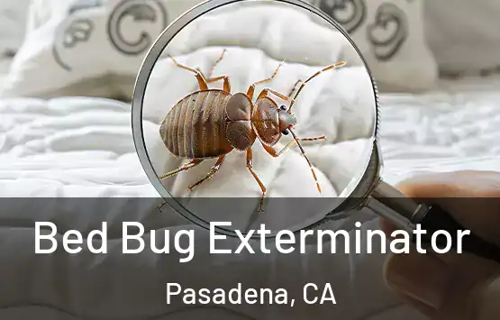  Bed Bug Exterminator Pasadena, CA
