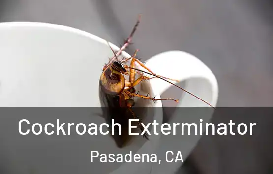  Cockroach Exterminator Pasadena, CA