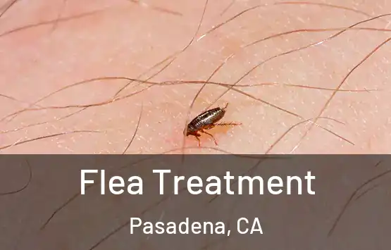  Flea Treatment Pasadena, CA