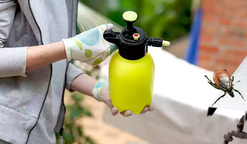 Ticks Pest Control Pasadena, California