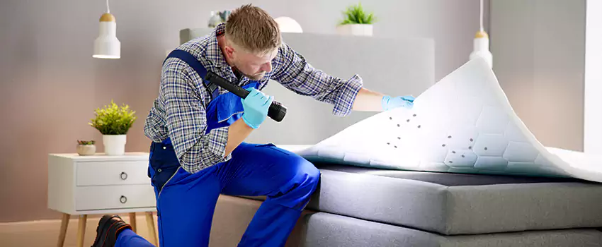 bed-bug-treatment in Pasadena, CA