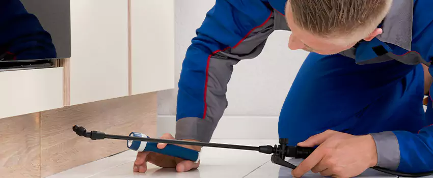 Commercial Pest Control for Offices in Pasadena, CA