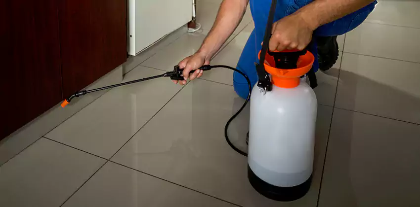 Commercial Pest Extermination for Offices in Pasadena, CA