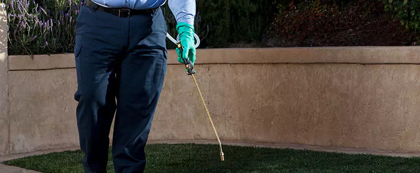 Emergency Pest Extermination for Children and Pets Pasadena, CA