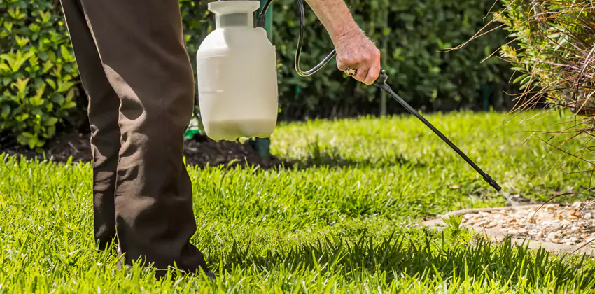 Grub Treatment for Bedrooms Pasadena, CA