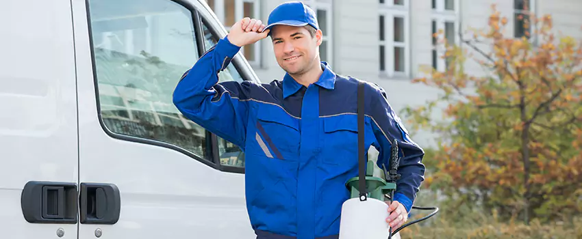 Organic and Chemical Spider Control Options Pasadena, CA