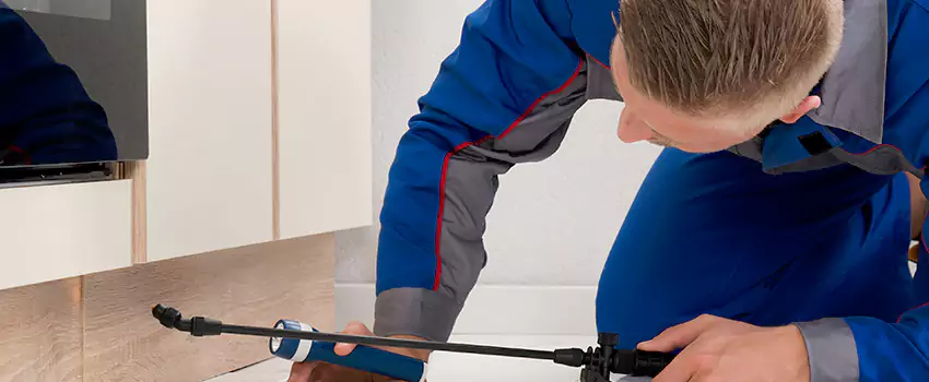 Termite Control for Children and Pets in Pasadena, CA