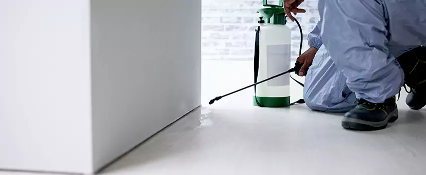 commercial-pest-control in Pasadena, CA