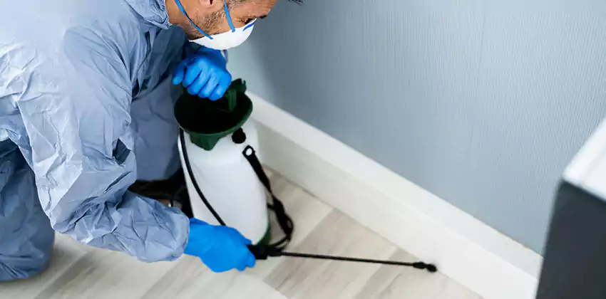 commercial-pest-exterminator in Pasadena, CA