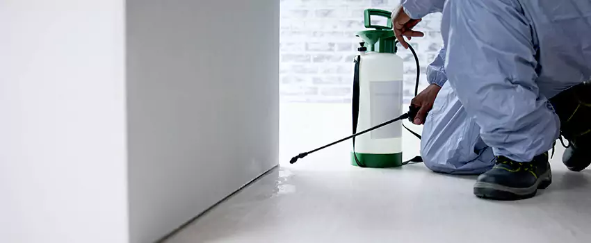 residential-pest in Pasadena, CA