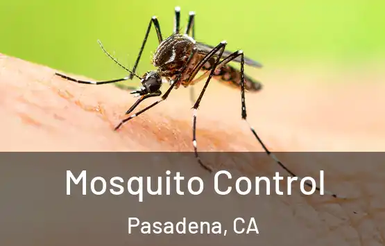  Mosquito Control Pasadena, CA