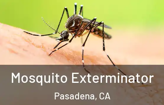 Mosquito Exterminator Pasadena, CA