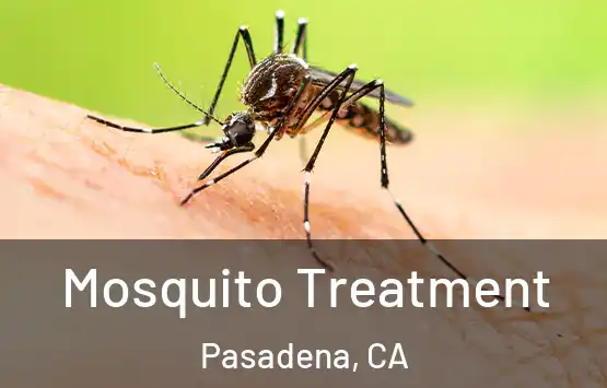  Mosquito Treatment Pasadena, CA