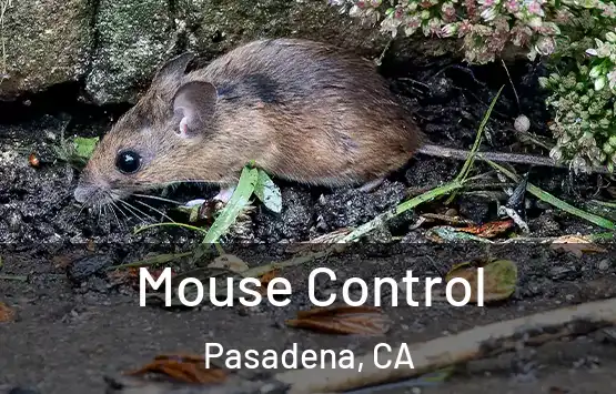  Mouse Control Pasadena, CA