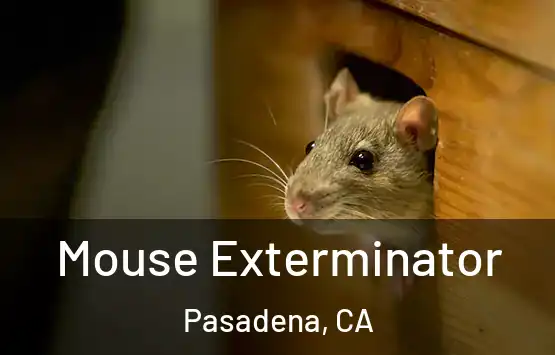  Mouse Exterminator Pasadena, CA