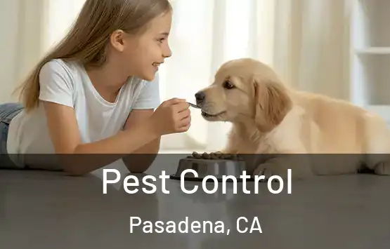 Pest Control Pasadena, CA