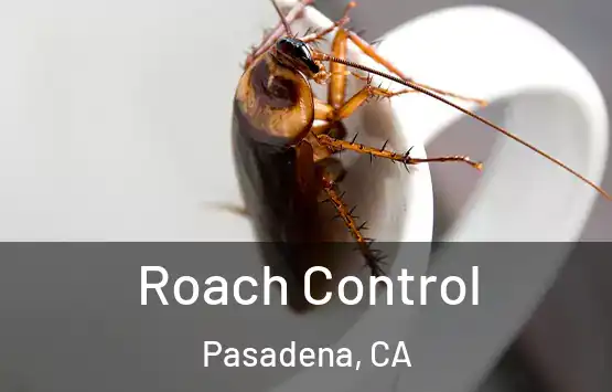  Roach Control Pasadena, CA