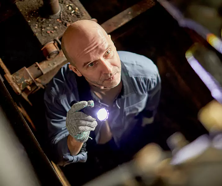 About Pest Inspection Pasadena