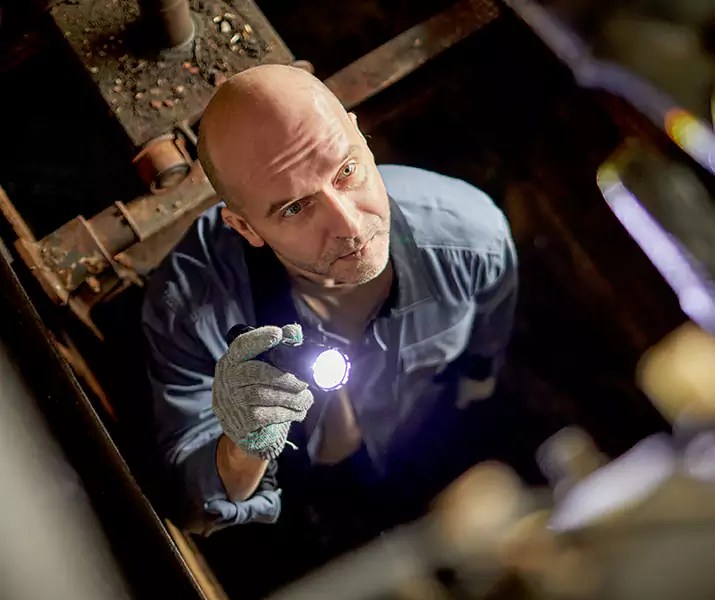 About Rat Inspection Pasadena