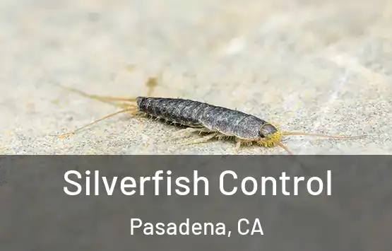  Silverfish Control Pasadena, CA