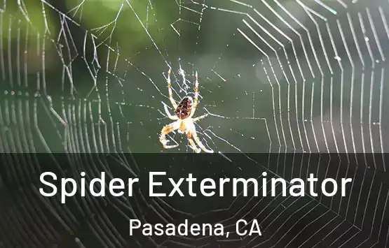  Spider Exterminator Pasadena, CA