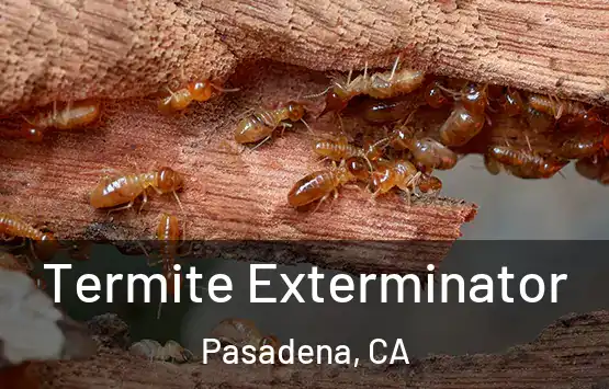  Termite Exterminator Pasadena, CA