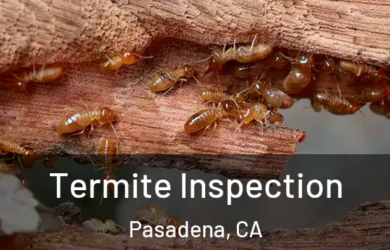  Termite Inspection Pasadena, CA