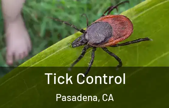  Tick Control Pasadena, CA